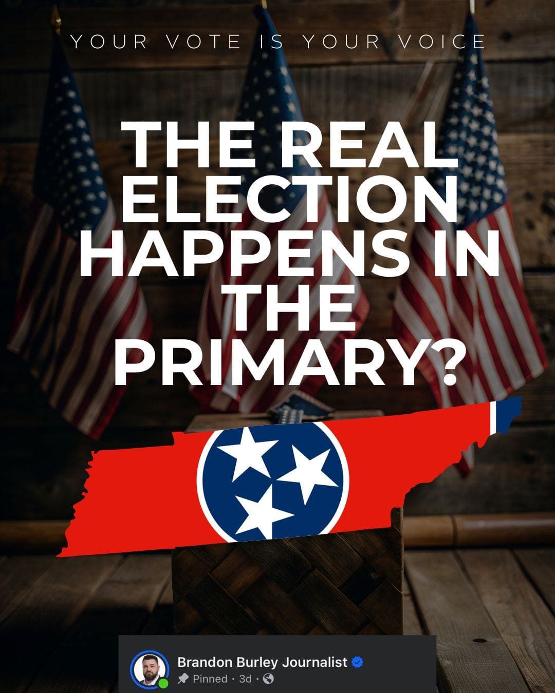 The real election happens in the primary artwork