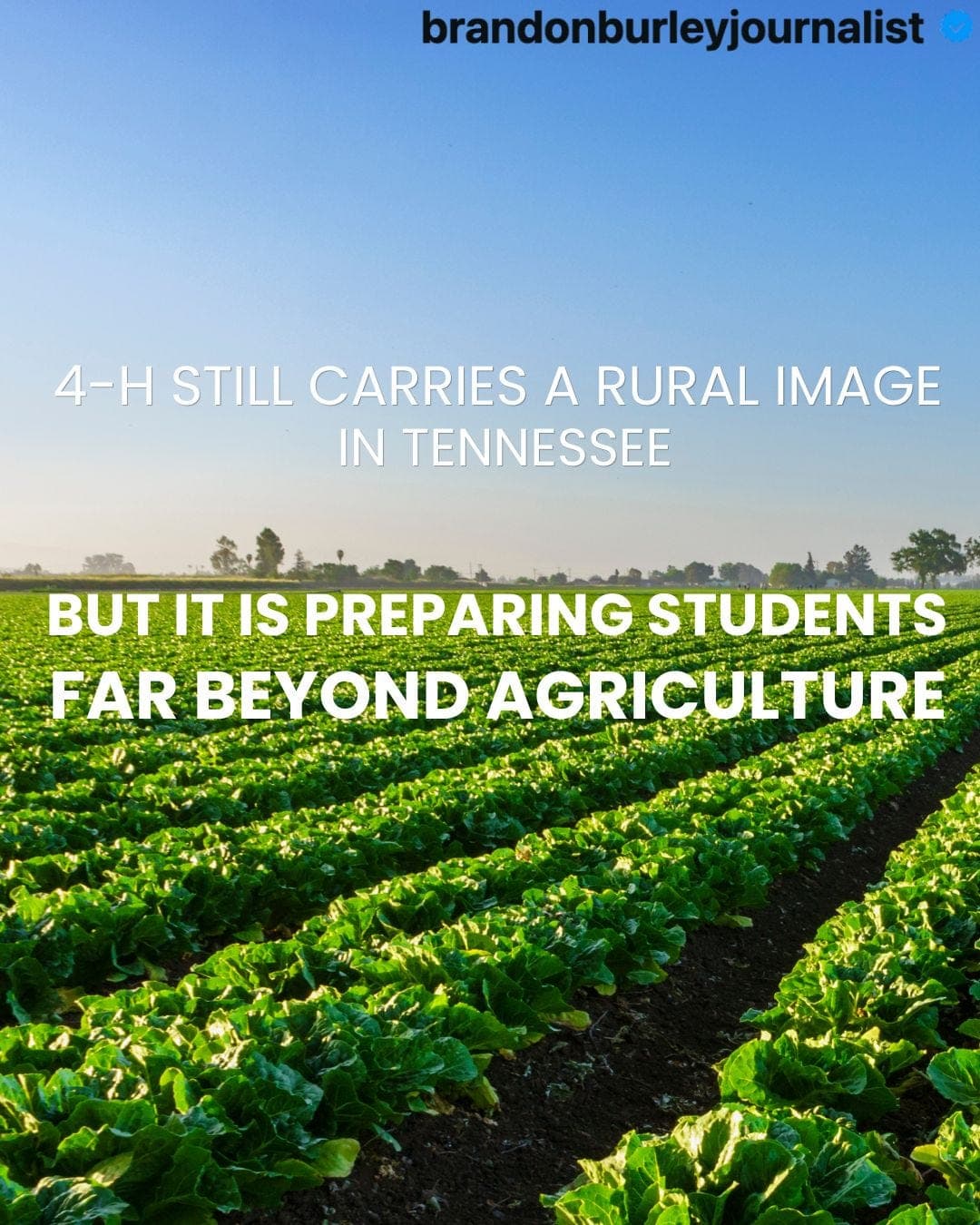 4-H still carries a rural image in Tennessee. But the new report shows it is preparing students far beyond agriculture. artwork